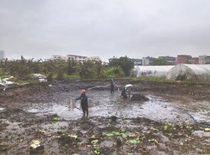法库河道鱼塘清淤